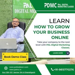 Pal Digital Media ( best digital marketing course in Patiala)
