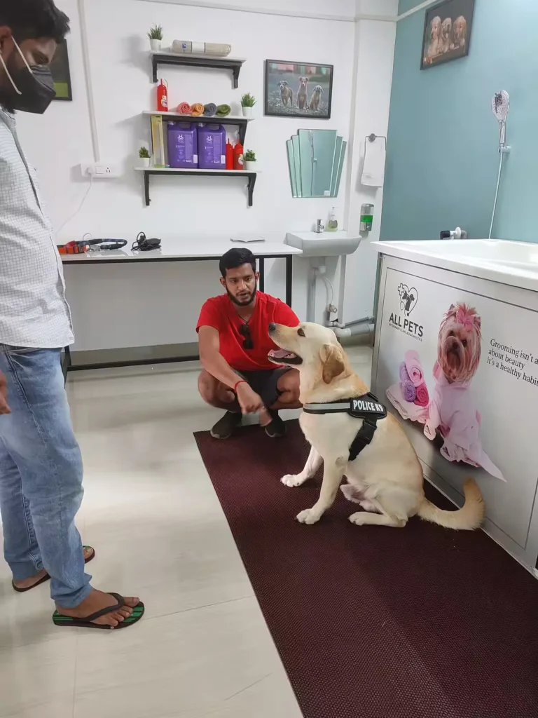 Tricity Veterinary Lab