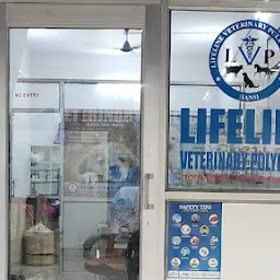 Petvet24 Veterinary Clinic