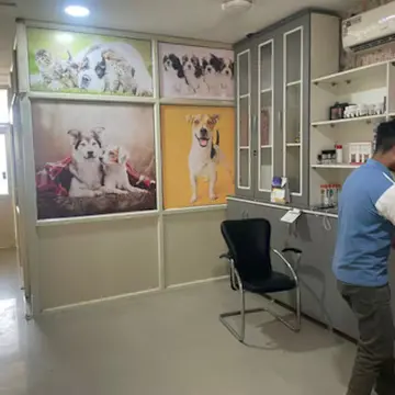 Little Paws Pet Clinic