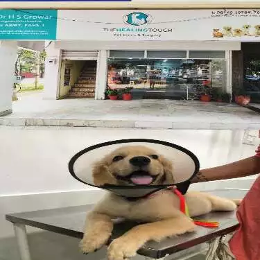 Dr Kochar's Pet's Mart Multi Speciality Hospital And Vet Lab