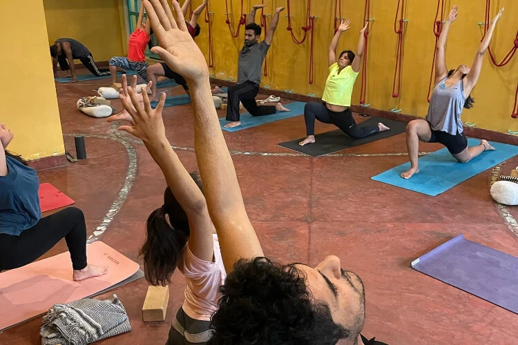yog Amore